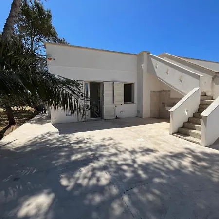 Quasi Nell'acqua Torre Pali